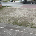 Będzie zielone centrum? Władze gminy zdradzają ambitne plany - Radio Kielce