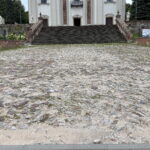Będzie zielone centrum? Władze gminy zdradzają ambitne plany - Radio Kielce