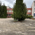 Będzie zielone centrum? Władze gminy zdradzają ambitne plany - Radio Kielce