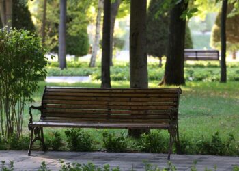 W Sandomierzu powstaną parki kieszonkowe