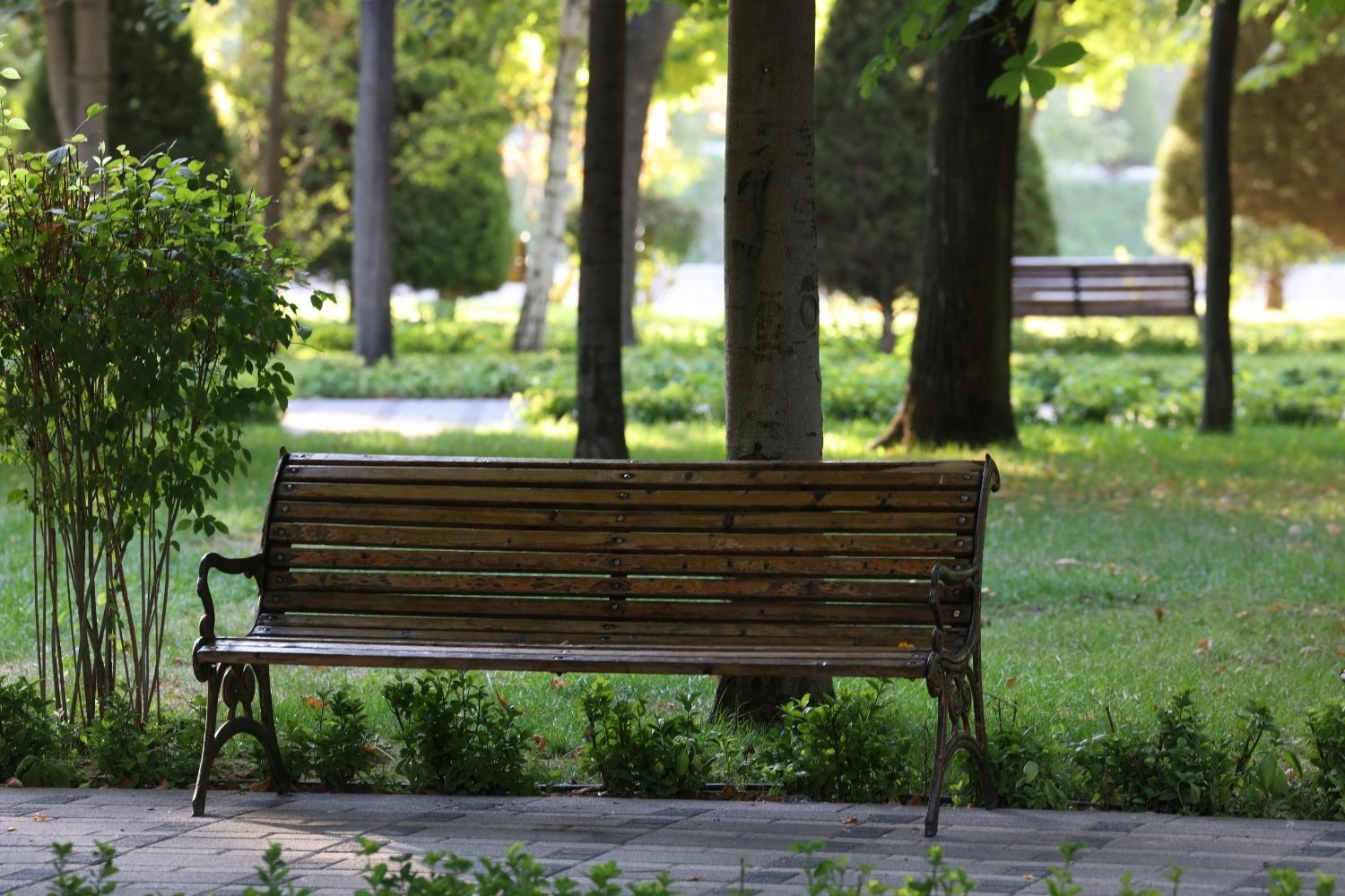 W Sandomierzu powstaną parki kieszonkowe