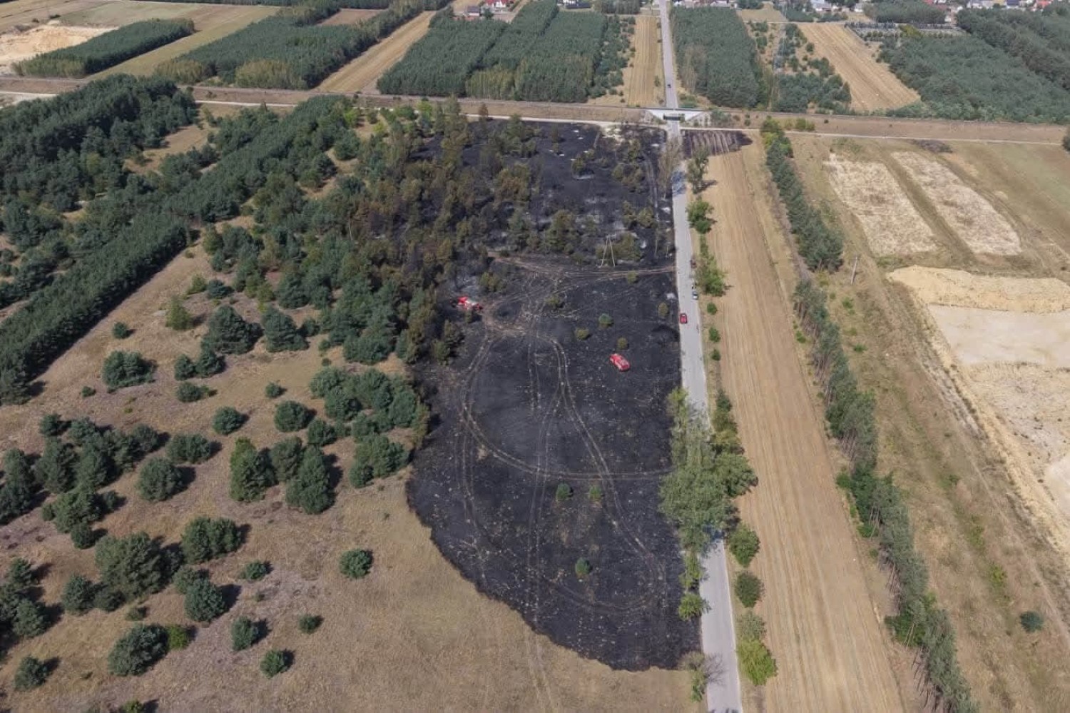 5.08.2026. Pożar lasów w powiecie jędrzejowskim / źródło: Komenda Wojewódzka Państwowej Straży Pożarnej w Kielcach - Facebook