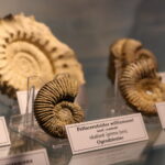 Dąbrowa Górnicza. Muzeum Miejskie Sztygarka / Fot. Stanisław Blinstrub – Radio Kielce