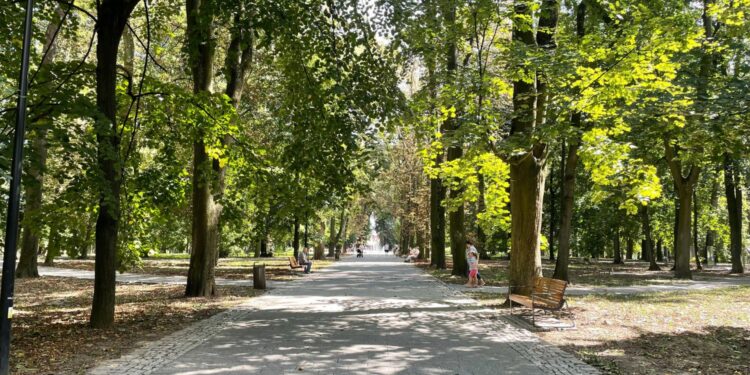 Sandomierz. Główna aleja w Parku Saskim / Fot. Grażyna Szlęzak-Wójcik - Radio Kielce