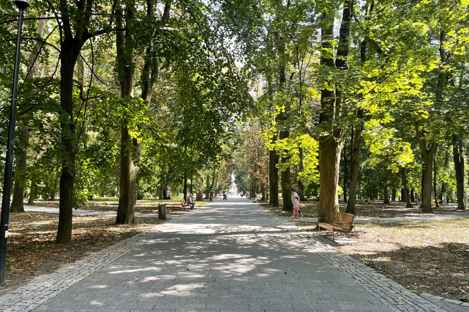Ławki Mistrzów Kryminału w Parku Saskim