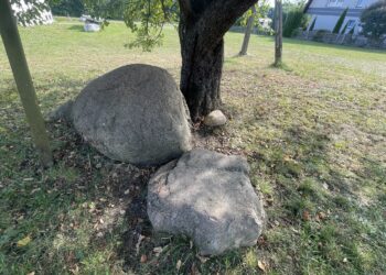 Głaz polodowcowy w Chańczy / Fot. Grażyna Szlęzak-Wójcik - Radio Kielce