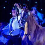 Aukcja Pride of Poland. Klacze z Michałowa wśród najdrożej sprzedanych