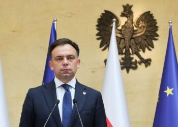 Domański: uruchamiamy wsparcie dla branż energochłonnych