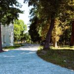 Ogród w Wiśniowej będzie wyglądał jak w XVIII wieku - Radio Kielce Staszów. Rewitalizacja ogrodu przy pałacu w Wiśniowej / Fot. Urząd Miasta w Staszowie