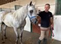 Michałów przed Pride of Poland. Ostatnie przygotowania do wielkiego święta koni arabskich