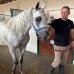 Michałów przed Pride of Poland. Ostatnie przygotowania do wielkiego święta koni arabskich
