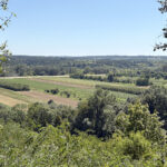 Janowiec. Widok z zamku w Janowcu nad Wisłą / Fot. Robert Felczak - Radio Kielce