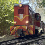 Poniatowa. Nadwiślańska Kolej Wąskotorowa / Fot. Robert Felczak - Radio Kielce