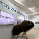 Puławy. Muzeum Badań Polarnych w Puławach / Fot. Robert Felczak - Radio Kielce