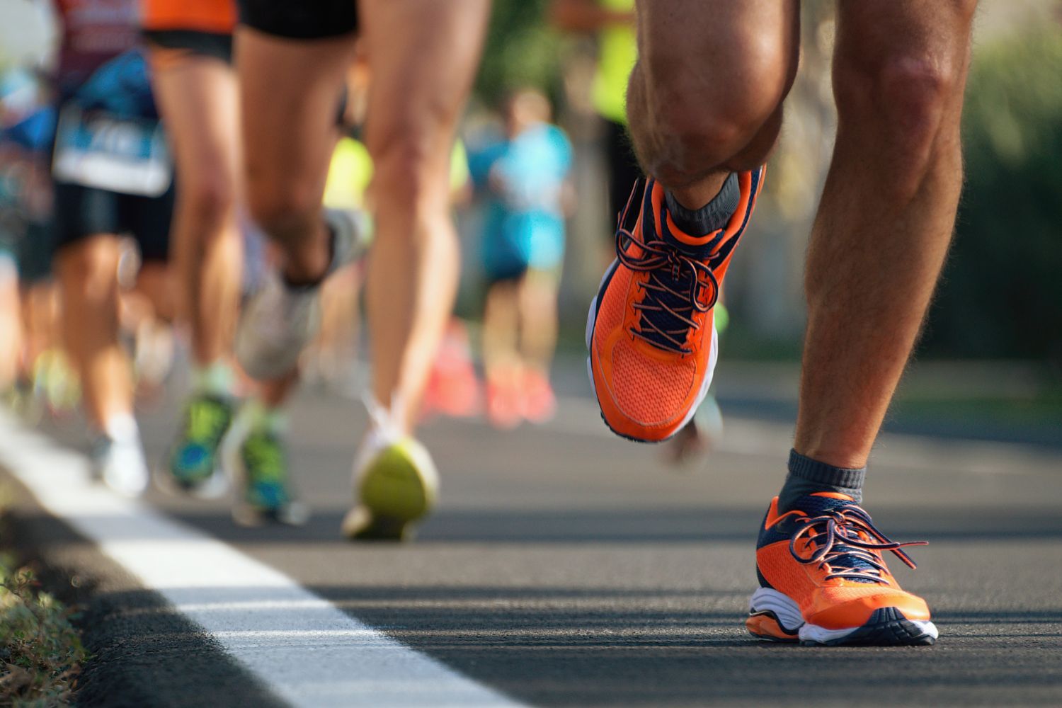 Liga Biegowa TSA Sandomierz 2026 – „Półmaraton na raty”
