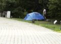 Noc spędzą pod chmurką, ale w centrum Kielc - Radio Kielce 01.08.2026. Kielce. Ogród Botaniczny. Nocowanie w ogrodzie / Fot. Jarosław Kubalski - Radio Kielce