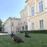 Puławy. Muzeum Czartoryskich w Puławach / Fot. Robert Felczak - Radio Kielce