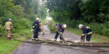 Uszkodzone dachy i połamane drzewa. Burze i wichury przeszły przez region