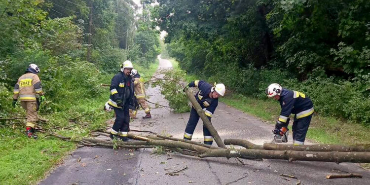 Uszkodzone dachy i połamane drzewa. Burze i wichury przeszły przez region