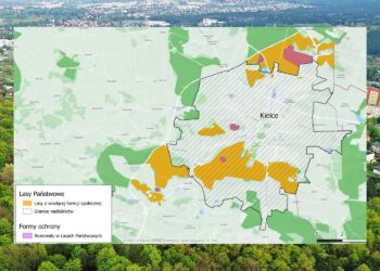 W Kielcach i czterech gminach powstanie las społeczny