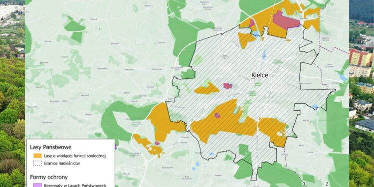 W Kielcach i czterech gminach powstanie las społeczny - Radio Kielce W Kielcach i czterech gminach powstanie las społeczny