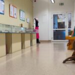 Wystawa pt. "Folklor - wiedza ludu" w Miejskiej Bibliotece Publicznej w Połańcu / Fot. Grażyna Szlęzak-Wójcik - Radio Kielce