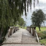 Historyczne grodzisko w Wiślicy / Fot. Marta Gajda-Kruk - Radio Kielce
