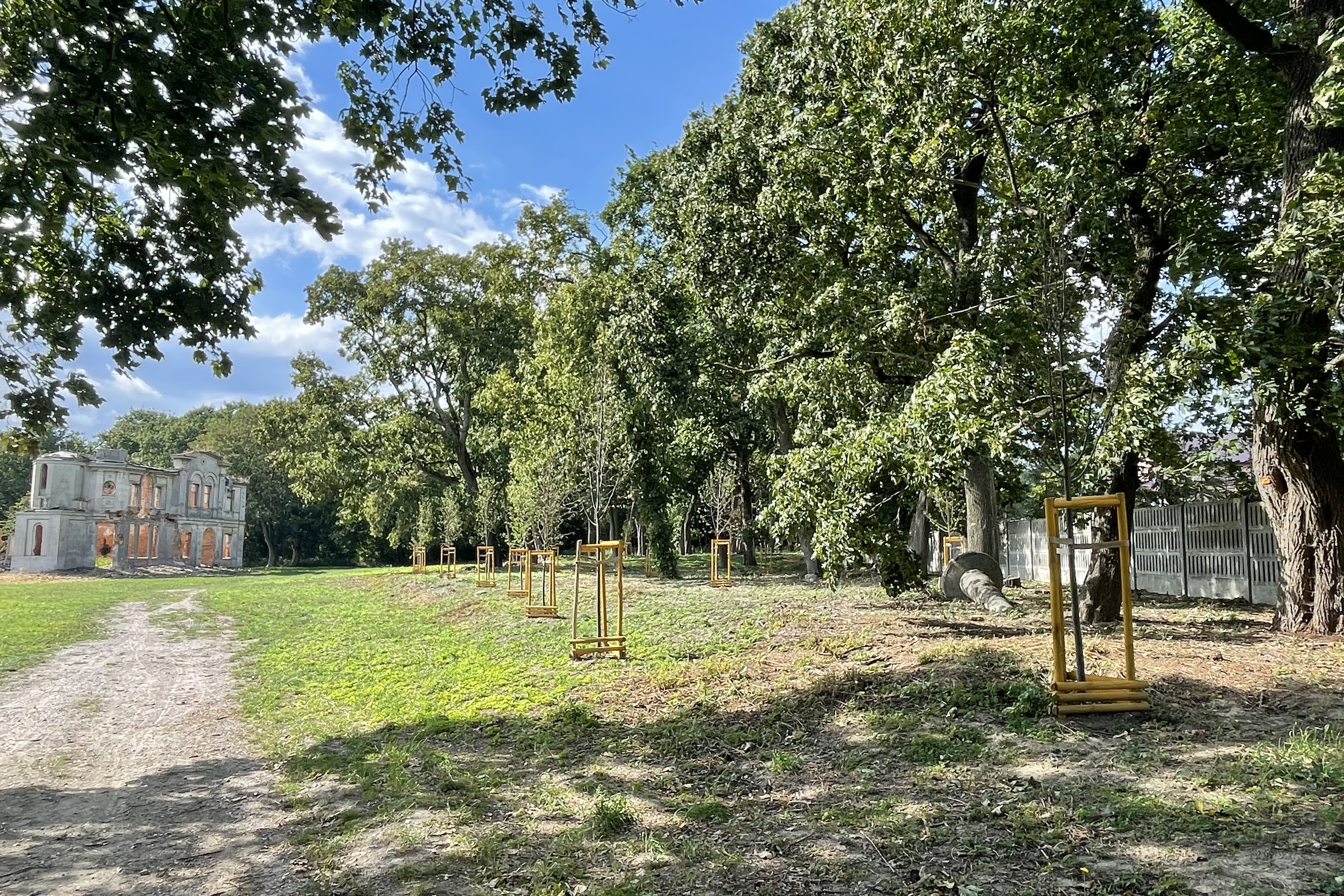 Najpierw park, oficyna a potem pałac- zabytek odzyska swój blask