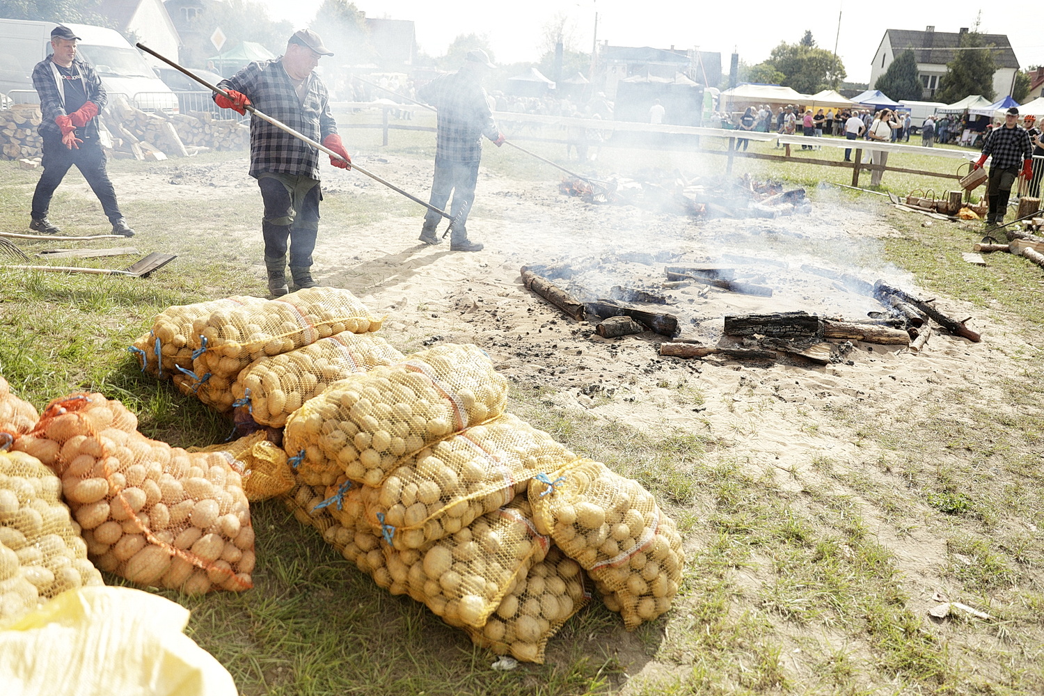 Dębno. Święto ziemniaka