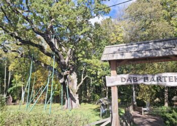 Podziemna instalacje zadba o świętokrzyski skarb przyrody