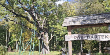 Podziemna instalacje zadba o świętokrzyski skarb przyrody
