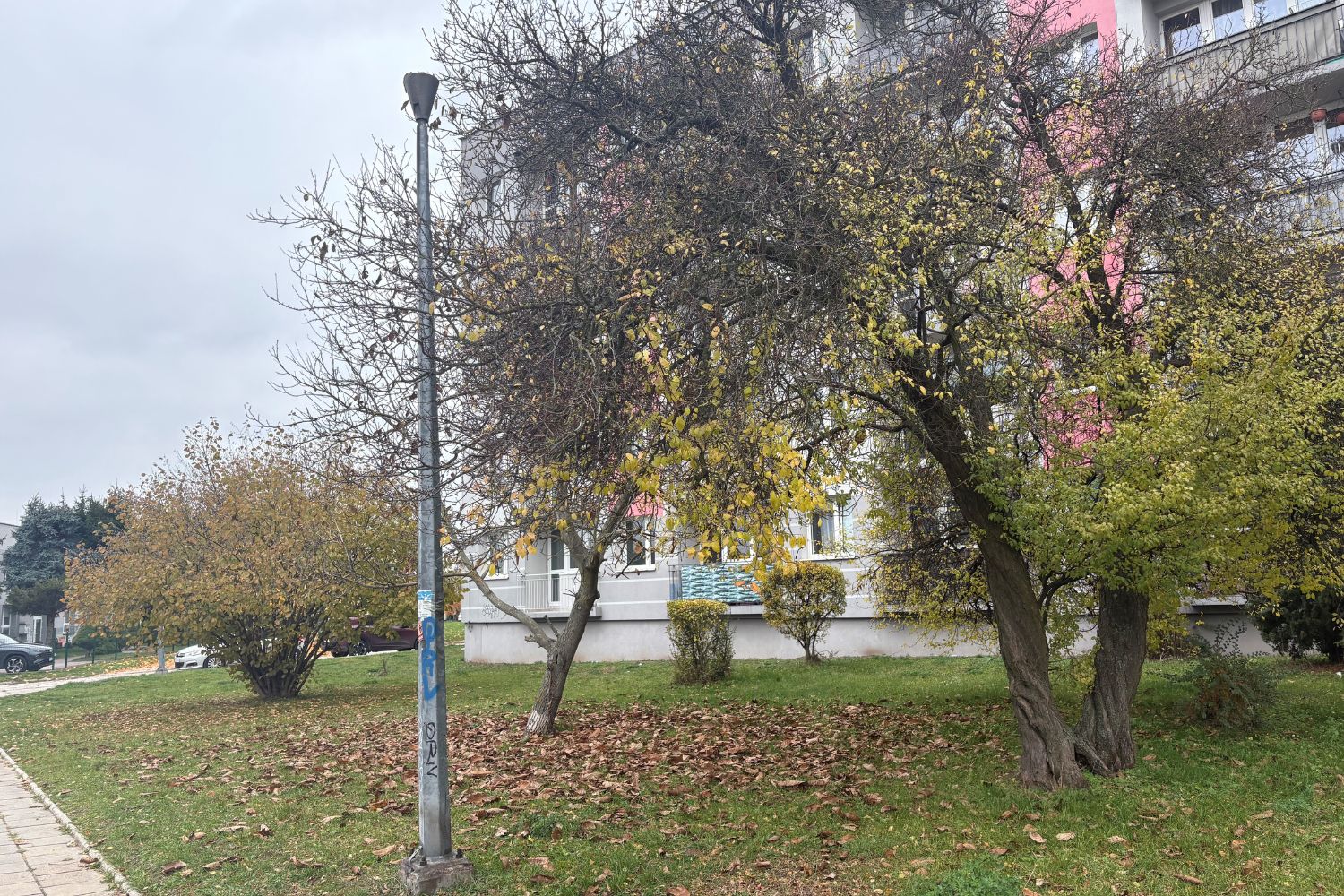 Fot. Aleksandra Słowak - Radio Kielce