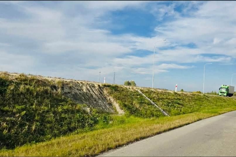 Uszkodzona skarpa i uschnięte drzewa przy obwodnicy Nowego Korczyna
