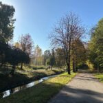 23.10.2026. Kielce. Jesień / Fot. Natalia Bilska - Radio Kielce