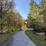 23.10.2026. Kielce. Jesień / Fot. Stanisław Nowaczek - Radio Kielce
