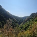 Muzyczne podróże przez świat. Rumunia / Fot. Grażyna Woźniczka