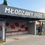 30.10.2026. Młodzawy w gminie Pińczów. Mural będący częścią projektu „Kultura na Przystankach - Murale naszej historii”, realizowanego przez Towarzystwo Przyjaciół Ponidzia / Fot. Marta Gajda-Kruk - Radio Kielce