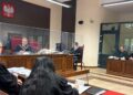 Proces ws. zabicia jaskółek w Umianowicach. Część oskarżonych przyznała się do winy
