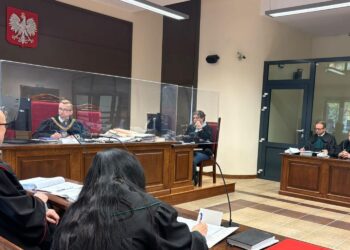 Proces ws. zabicia jaskółek w Umianowicach. Część oskarżonych przyznała się do winy