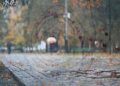 Cieszmy się złotą jesienią. Nadciąga cyklon i wszystko się zmieni