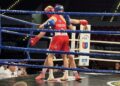 02.10.2026. Ostrowiec Świętokrzyski. Mistrzostwa Polski juniorów w boksie / Fot. Kamil Król - Radio Kielce
